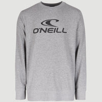 Sweatshirt à col rond O'Neill Logo | Silver Melee
