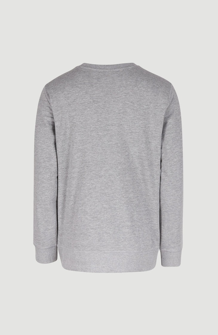 Sweatshirt à col rond O'Neill Logo | Silver Melee