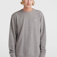 Sweatshirt à col rond O'Neill Small Logo | Silver Melee