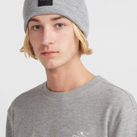 Sweatshirt à col rond O'Neill Small Logo | Silver Melee