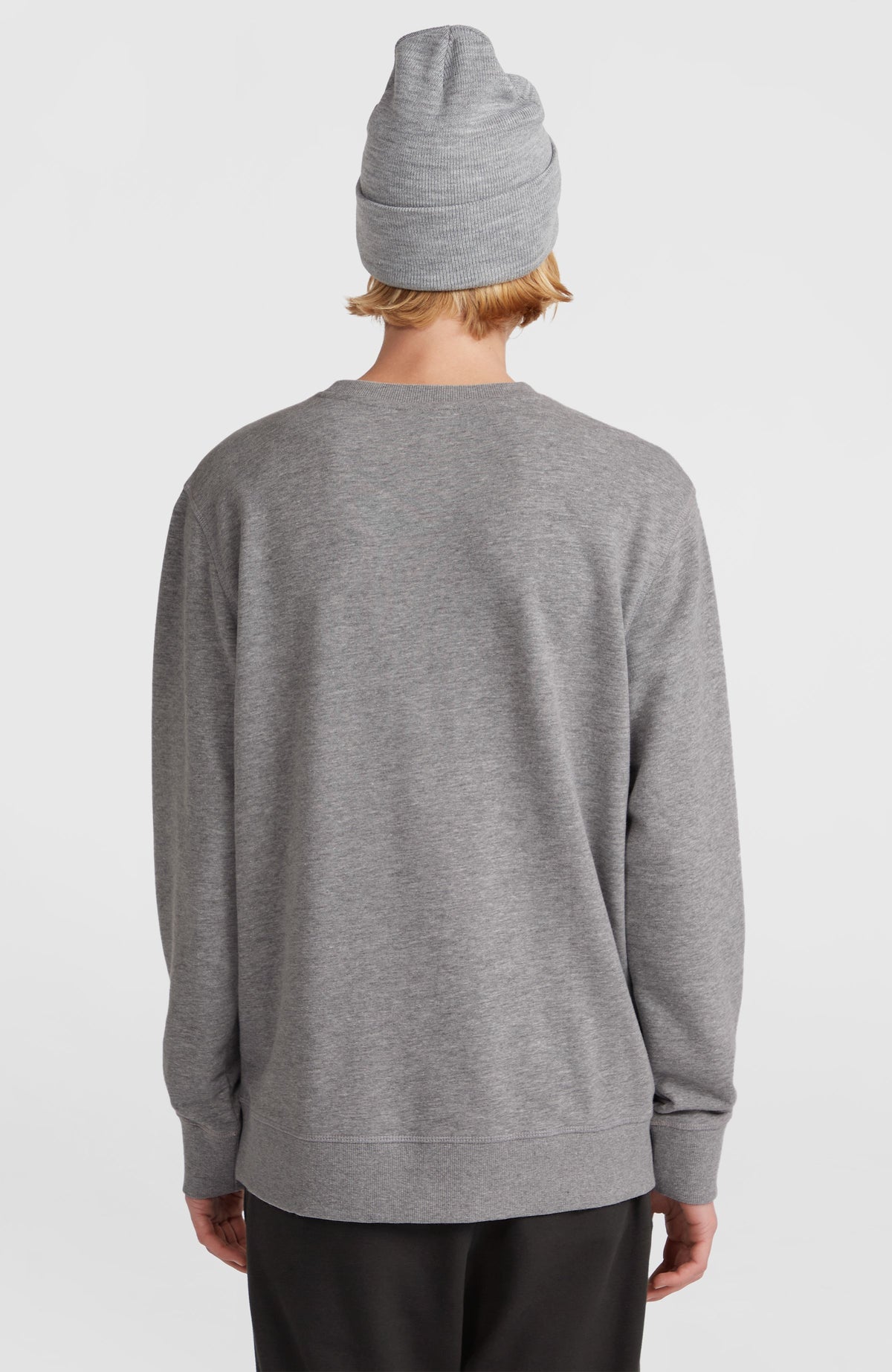 Sweatshirt O'Neill Small Logo Crew | Silver Melee