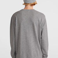 Sweatshirt à col rond O'Neill Small Logo | Silver Melee