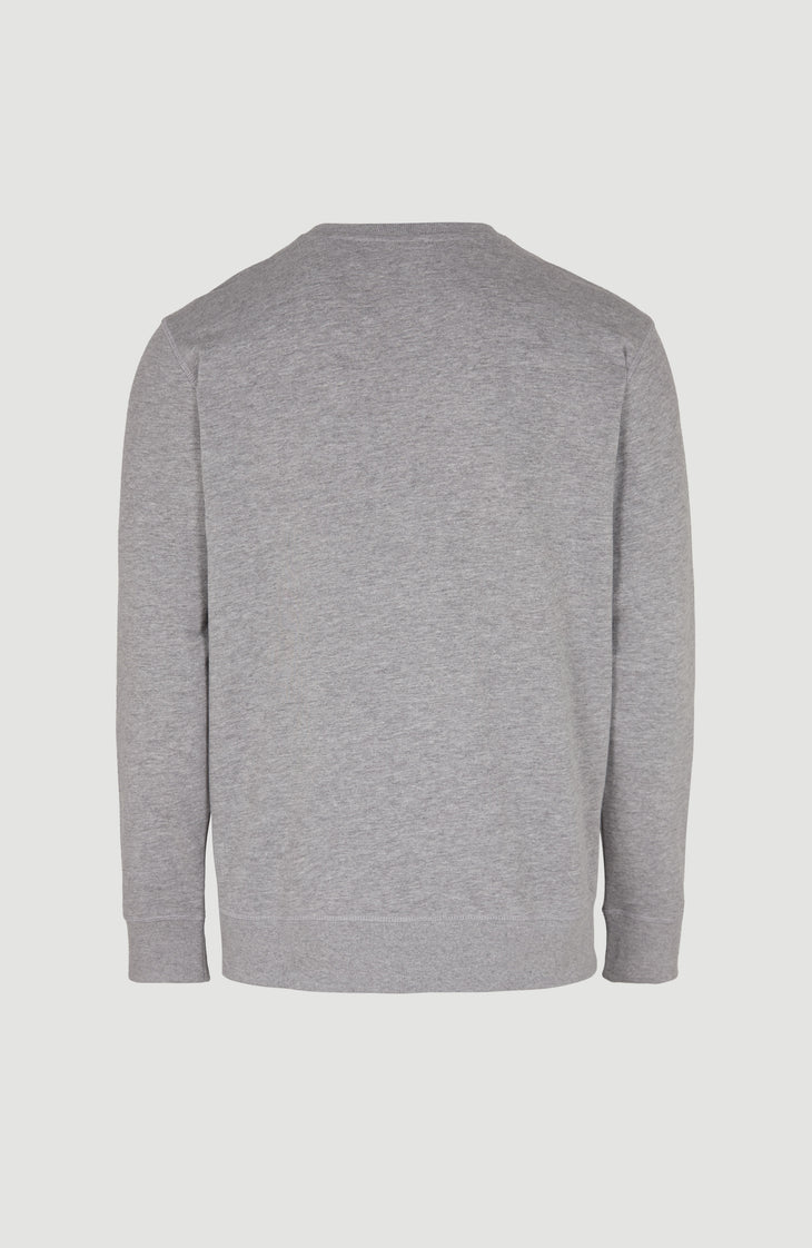 Sweatshirt O'Neill Small Logo Crew | Silver Melee