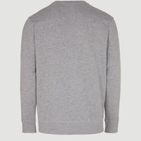 Sweatshirt à col rond O'Neill Small Logo | Silver Melee