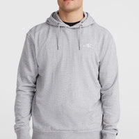 Sweat à capuche O'Neill Small Logo | Silver Melee