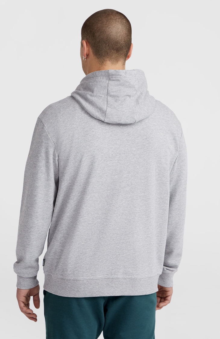 Sweat à capuche O'Neill Small Logo | Silver Melee