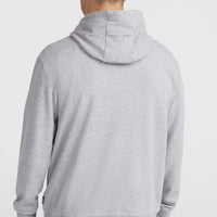 Sweat à capuche O'Neill Small Logo | Silver Melee