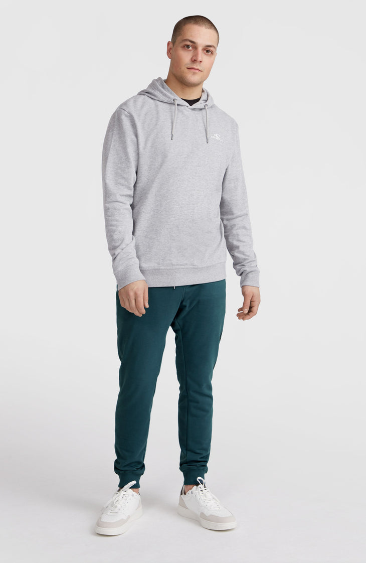 Sweat à capuche O'Neill Small Logo | Silver Melee