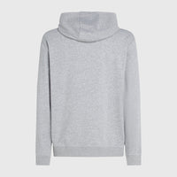 Sweat à capuche O'Neill Small Logo | Silver Melee