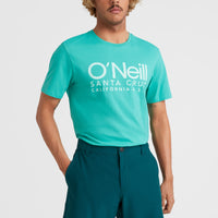 Short chino Hybrid | Deep Teal