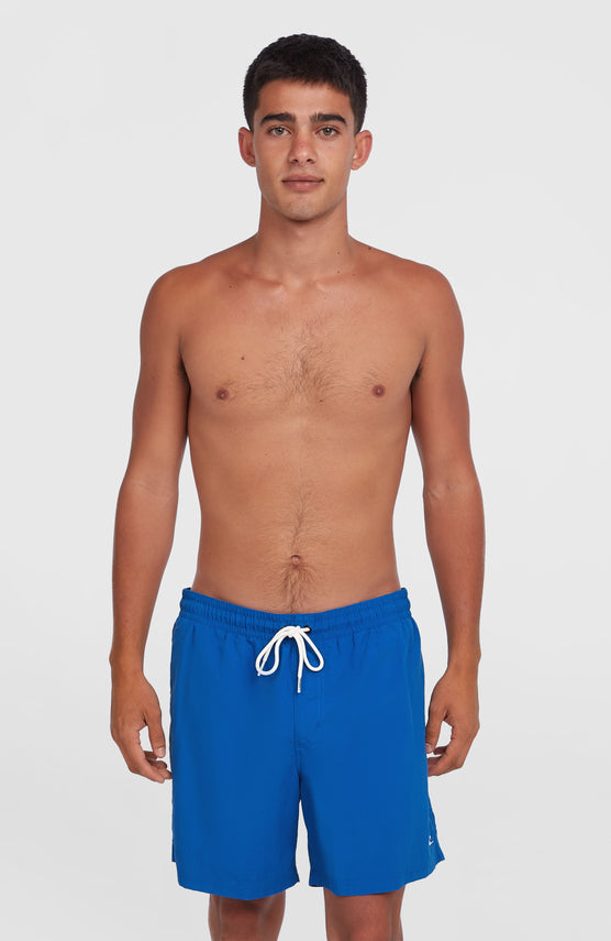 Short de bain O'Neill Vert 16'' | Victoria Blue