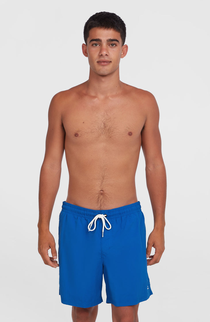 Short de bain O'Neill Vert 16'' | Victoria Blue