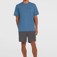 Short de bain O'Neill Vert 16'' | Asphalt