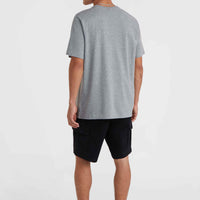 T-shirt O'Neill Small Logo | Silver Melee