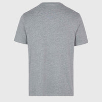 T-shirt O'Neill Small Logo | Silver Melee