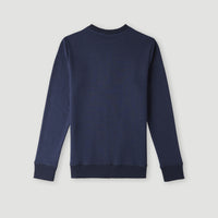 Sweatshirt à col rond O'Neill Logo | Ink Blue