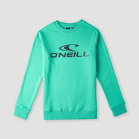 Sweatshirt à col rond O'Neill Logo | Sea Green