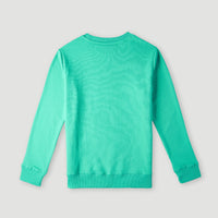 Sweatshirt à col rond et logo O'Neill | Sea Green