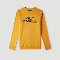 Sweatshirt à col rond O'Neill Logo | Nugget