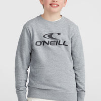 Sweatshirt à col rond O'Neill Logo | Silver Melee