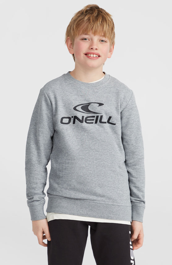 Sweatshirt à col rond O'Neill Logo | Silver Melee