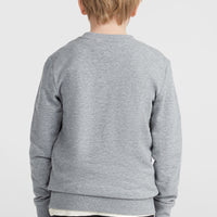 Sweatshirt à col rond O'Neill Logo | Silver Melee