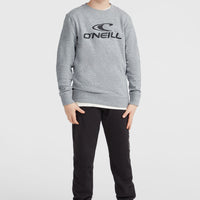 Sweatshirt à col rond O'Neill Logo | Silver Melee