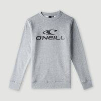 Sweatshirt à col rond O'Neill Logo | Silver Melee