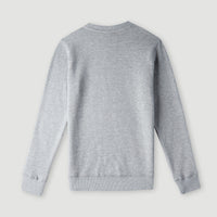 Sweatshirt O'Neill Crew | Silver Melee