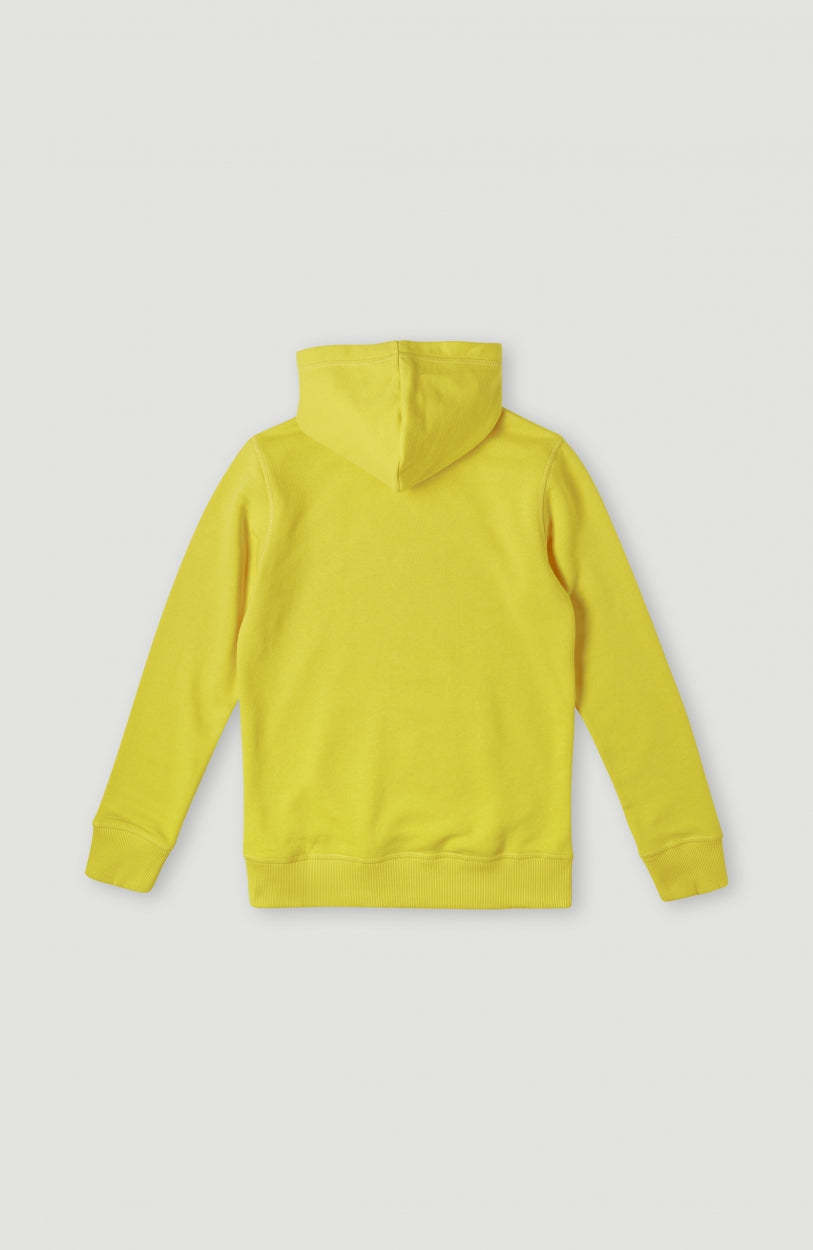 Sweat à capuche O'Neill Logo | Empire Yellow