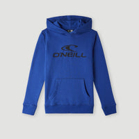 Sweat à capuche O'Neill Logo | Surf the web Blue