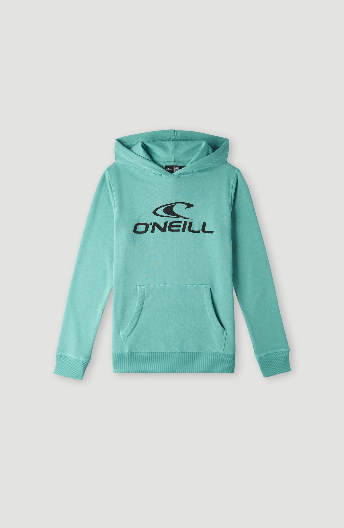 Sweat à capuche O'Neill Logo | Sea Green