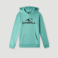 Sweat à capuche O'Neill Logo | Sea Green