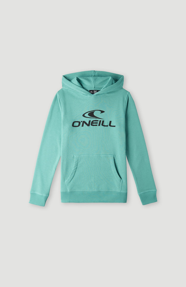 Sweat à capuche O'Neill Logo | Sea Green