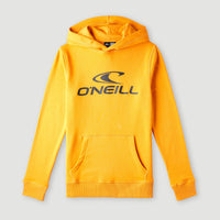 Sweat à capuche O'Neill Logo | Nugget