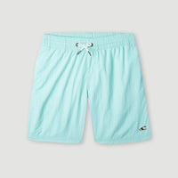 Short de bain Vert 14\ | Beach Glass