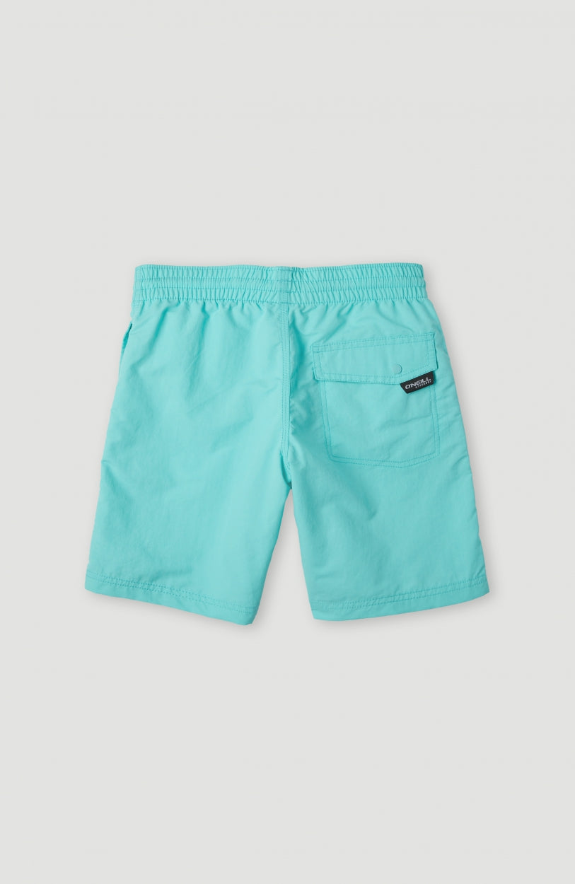 Short de bain Vert 14\ | Aqua Spalsh