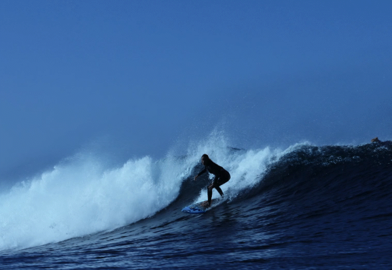 "Je pense que c'est parce que nous sommes plus proches de l'égalité entre filles et garçons dans le sport. "