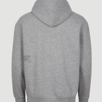 Sweat capuche Future Surf Hoodie | Silver Melee