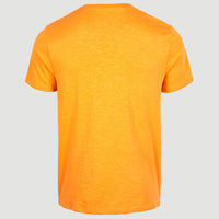 Tee-Shirt Jack's Base | Nugget