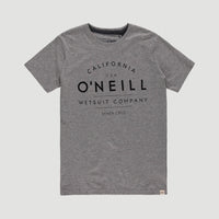 Tee-Shirt O'Neill | Silver Melee -A