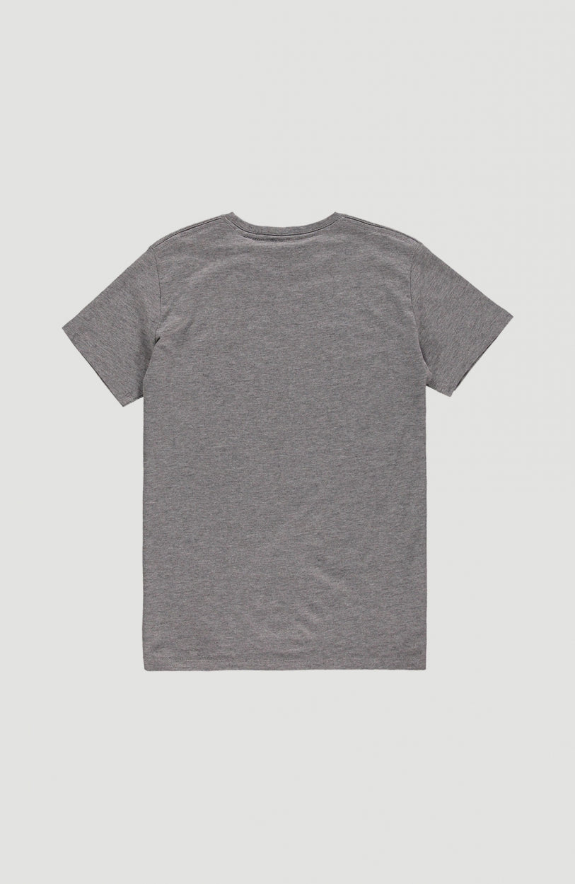 Tee-Shirt O'Neill | Silver Melee -A