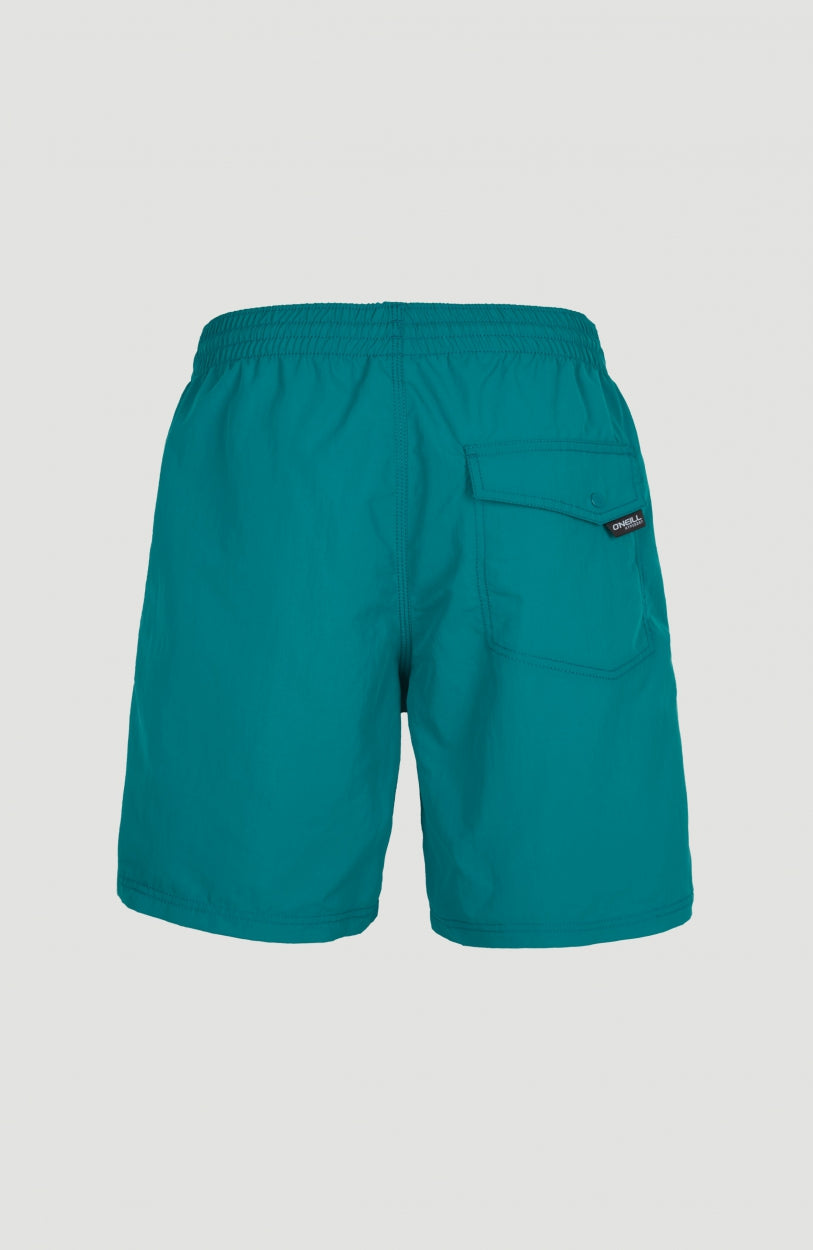 Short Vert Swim | Blue Coral
