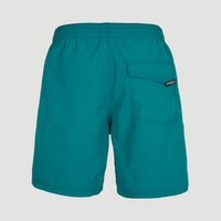 Short Vert Swim | Blue Coral