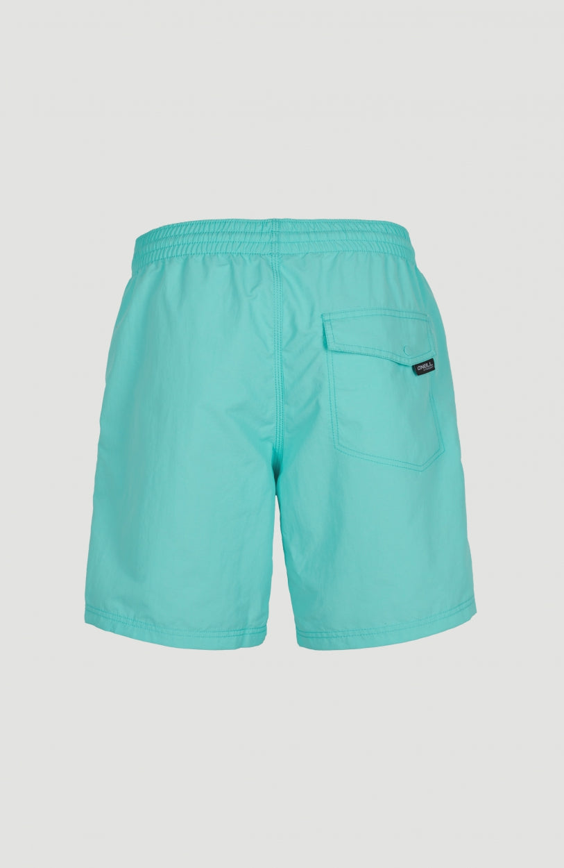 Short Vert Swim | Aqua Spalsh