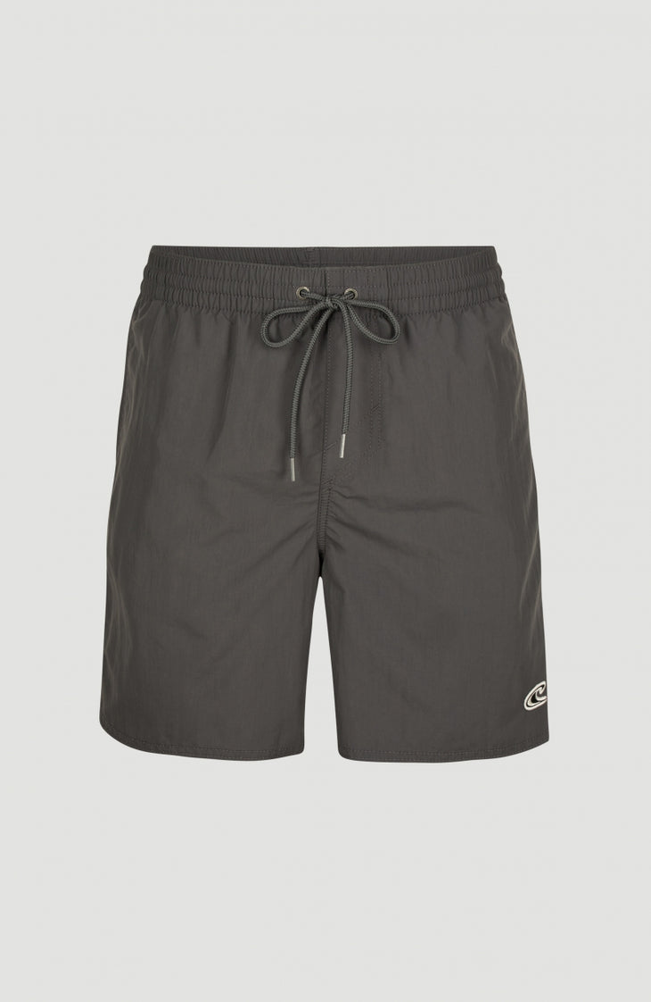 Short Vert Swim | Asphalt