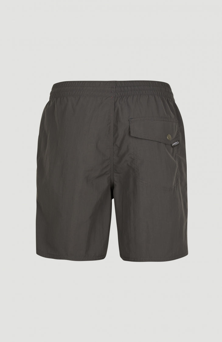 Short Vert Swim | Asphalt
