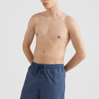 Short Vert Swim | Dusty Blue -A