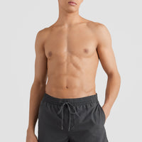 Short Vert Swim | Asphalt - A
