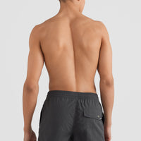Short Vert Swim | Asphalt - A